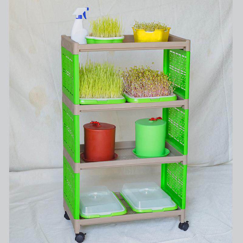 简约塑料种植箱芽苗菜育苗无土栽培架注塑上种菜箱蔬菜育苗架