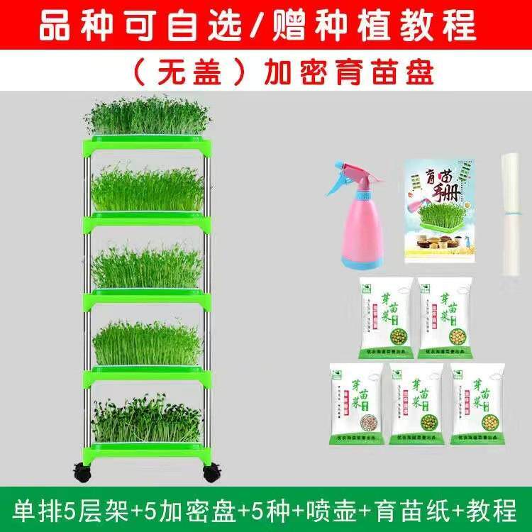 芽苗菜育苗水培豆芽发芽盆豆苗种植无土栽培设备托盘蔬菜芽菜盆