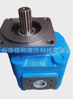 供应龙工装载机工作泵60301000042齿轮泵J2100C