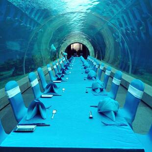 大型海洋馆工程设计海底世界建造水族馆设计施工海洋馆展厅工程