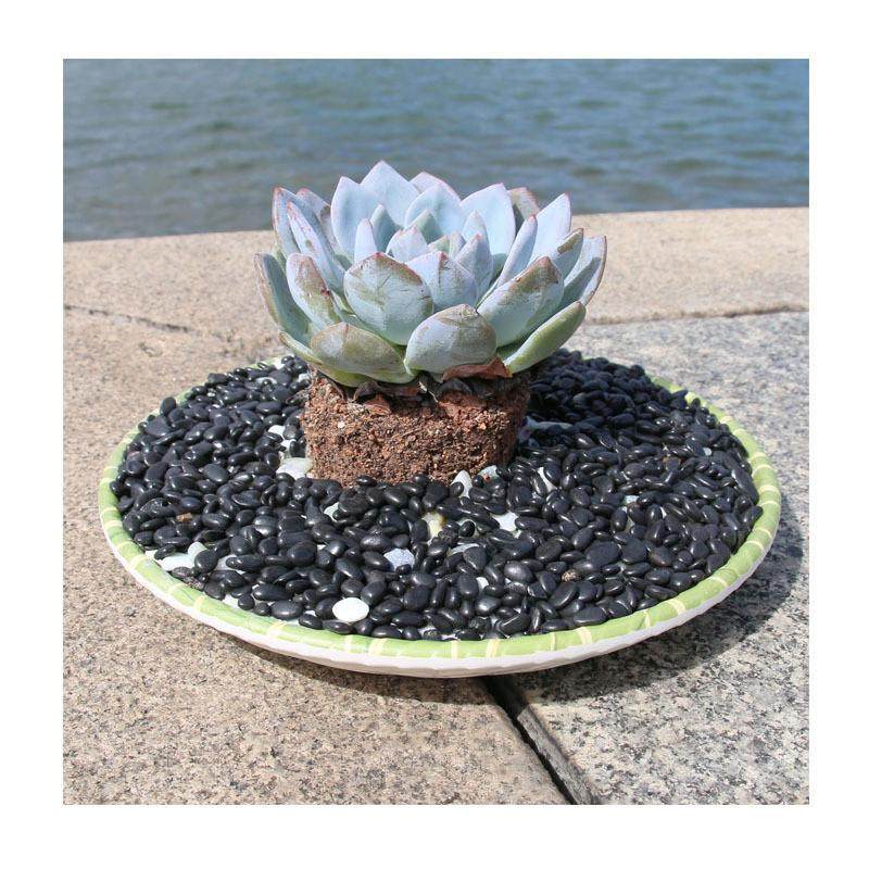 江西天然彩石子3#4#拇指头颗粒大小绿石头水族彩色养鱼石,基础建材,粗沙,淘宝优惠券,粉丝福利购,淘宝优惠卷