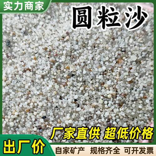 圆粒沙子儿童娱乐圆粒砂人造沙滩无尘海沙白沙子石子水洗小圆粒沙