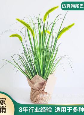 仿真狗尾巴草苇草室内仿真芦绿植盆栽盆栽北欧仿真植物装饰摆件