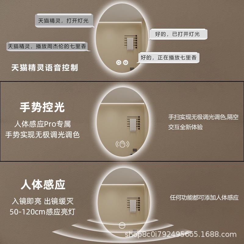 定制椭圆形智能浴室镜酒店公寓卫生间发光感应镜子带灯化妆镜定做