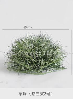 造景绿植景观室内展厅仿真植物盆栽巴西铁龙舌兰仙人球盆栽热带