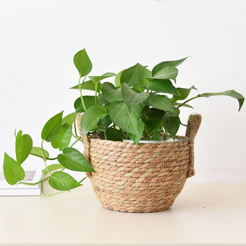 竹篮手工编织品包草编花篮花盆篮子花盆竹编l编制藤编篮插鲜花篮