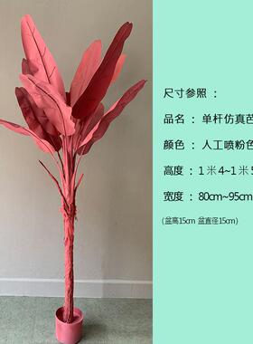 粉色盆栽芭蕉树喷色散尾葵旅人蕉大型仿真植物红色网红造景假绿植