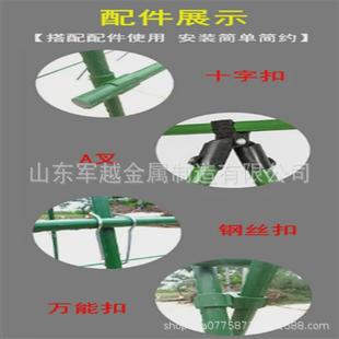 植物爬藤架黄瓜钢管菜园果园花园支架包塑豆角西红柿葡萄月季花