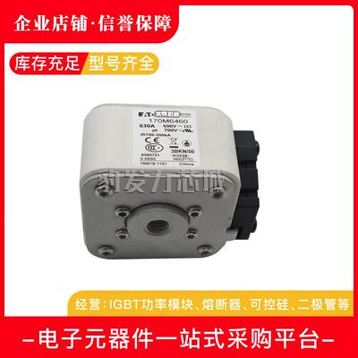 170m6499170m6500170m6501170m6644170m6645熔断器全新现货