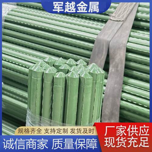 植物菜园包塑钢管爬藤架果园花园支架黄瓜豆角西红柿葡萄月季花