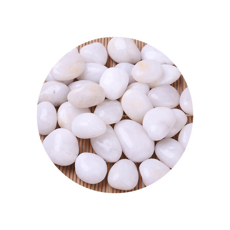 白色抛光鹅卵石盆栽石头亮光雨花石园艺铺地装饰园林景观鱼缸