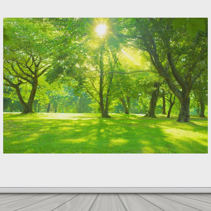 阳光树林树木森林草地大自然风景画家居背景墙海报自粘装饰防水画图片