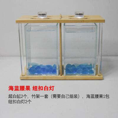鱼专用缸客厅办公室宿舍双缸桌面超白小型生态微景超白玻璃小缸