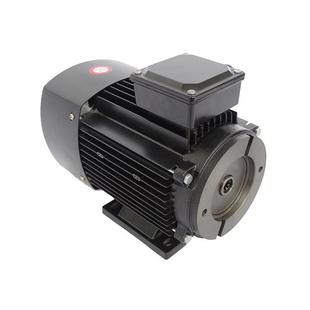 电机供应vp20油泵厂家液压电机1马力油压内轴电机0.75kw铝外壳