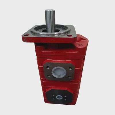 cbgj20802032高压双联泵液压三联油泵铸铁抗磨高压齿轮泵定制