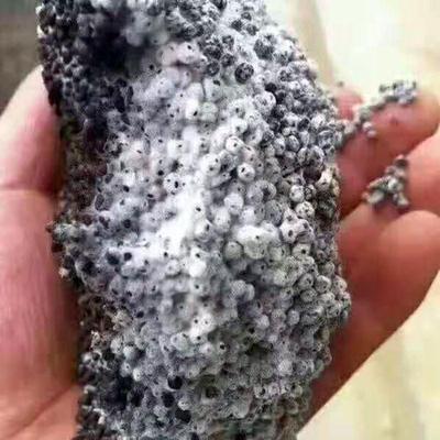 抗重茬复合微生物菌剂有益活性有机肥料10亿/克抗病保水腐殖酸菌