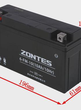 升仕 ZT310 启典KD150-UG1G2Z2GK摩托车6－FM－10/10Ah胶体电池
