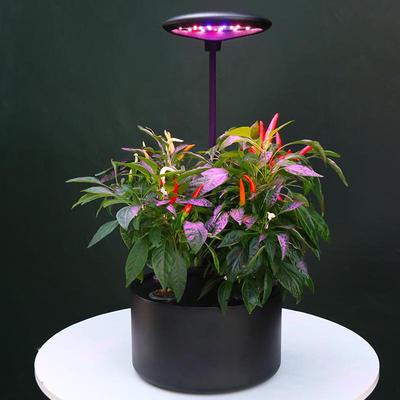 家庭智能种植机水培植物无土栽培蔬菜设备家用室内盆水耕种菜