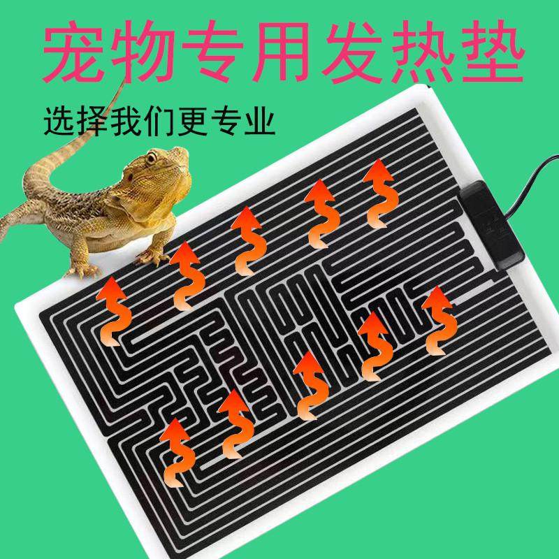 蝈蝈专用恒温罐鸣虫罐盒发热恒温保温生态箱宠物罐蝈蝈过冬新款,宠物/宠物食品及用品,爬宠温控/湿度设备,淘宝优惠券,粉丝福利购,淘宝优惠卷