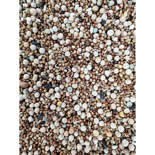 50斤鸽子肉无玉米鸽粮鸟食饲料赛鸽信鸽飞观粮幼成鸽粮19省