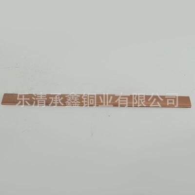 源头厂家供应镀锡紫铜条现货紫铜条可任意切割延展性好4X40紫铜条