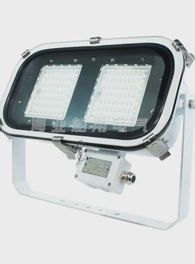 船用露天场所夜间led投光灯作业不锈钢防水照明tg20-l100w