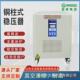 稳压器式 稳压器高精度稳定输出220v380v440v480v三相交流铜柱