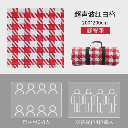野餐垫野外户外露营便携防水防潮加厚野炊地垫草坪布春游垫子沙滩