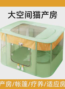 2024年新款春夏季猫咪专用大眼萌宠物猫产房生产帐篷待产猫窝狗窝