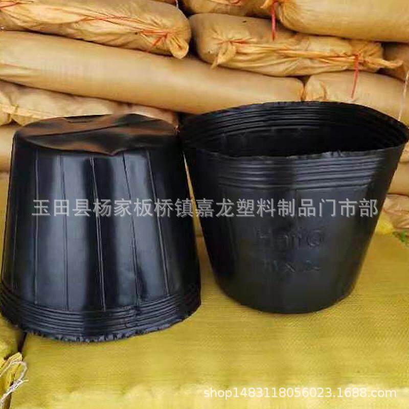 厂家批发无孔荷花杯荷规格营养钵简易无孔营养杯多种花盆
