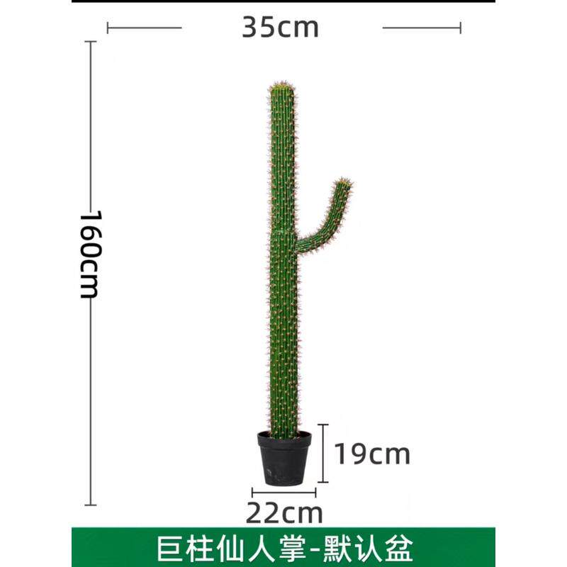 仿真仙人球装饰摆件大号室内仙人柱热带沙漠造景店铺橱窗假绿植仙