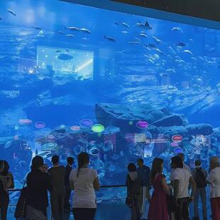亚克力超大型浴缸制作海洋馆大型透明高观赏鱼缸设计亚克力鱼缸