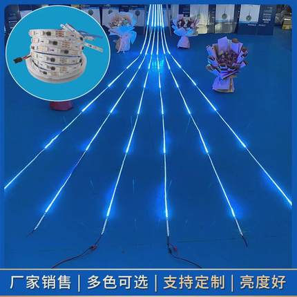 LED12V-24V幻彩追光灯带单色流水全亮灯带家用柔性楼梯灯条灯贴