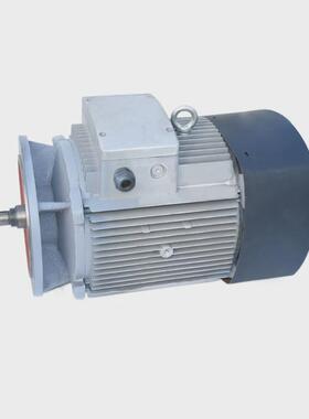 r.k.f.s四大系列线电动机铝壳全铜减速机四级六极电机杭标常标