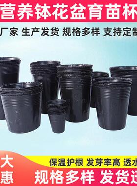 黑色加厚育苗袋袋种植营养育苗杯pe塑料育苗盘植物园艺育苗盆批发