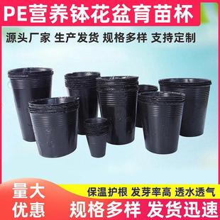 黑色营养育苗袋加厚种植袋育苗杯pe塑料育苗盘植物园艺育苗盆批发