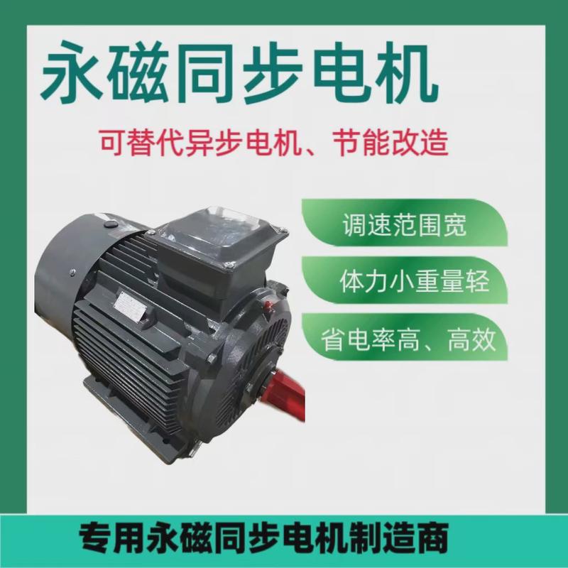 厂家直销380v电动机200kw机械设备变频调速电动机永磁同步电机
