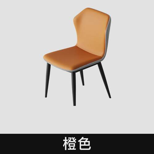 设计师餐椅轻奢椅子家用样板间网红简约现代凳子靠背餐厅餐桌椅