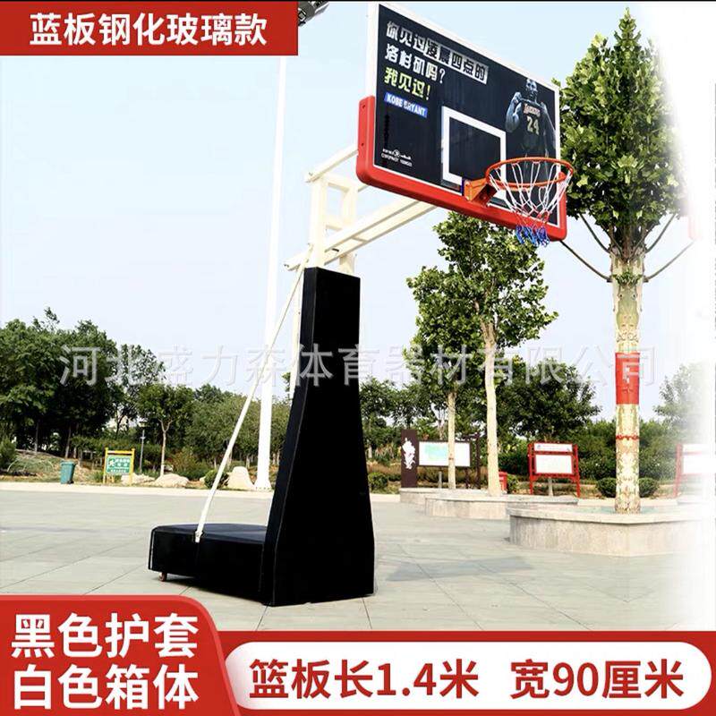 户外篮球架篮筐移动儿童篮球架可升降可青少年儿童室外标准扣篮