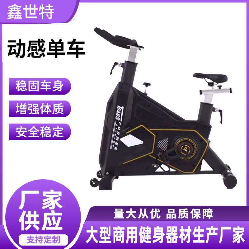 脚蹬动感单车家用静音有氧金刚卧式商用健身运动磁控金刚动感单车