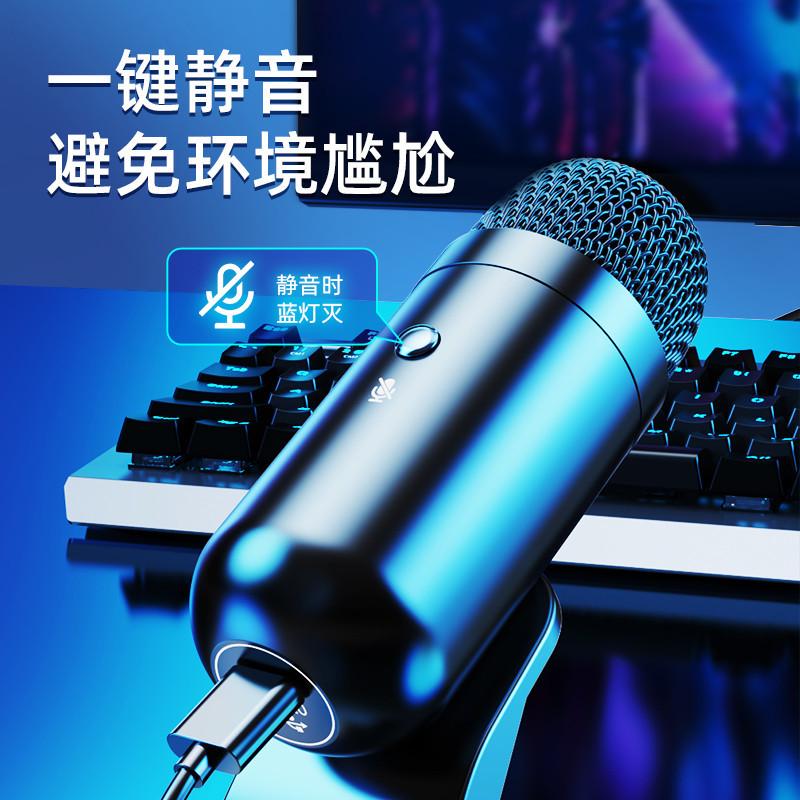 时尚部落K歌直播麦克风台式电脑USB有线话筒游戏会议录音麦降噪