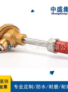 安徽天长仪表中盛铠装仪表热电阻wzpk-248l=300mm