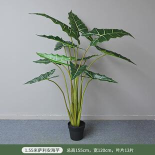 仿真海芋萨利安水芋家居植物盆栽北欧商场人造大型落地假树造景装