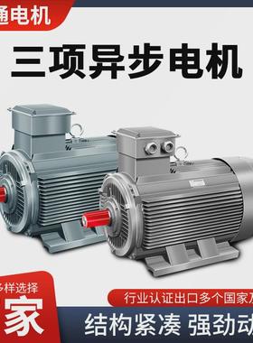 ye2系列立式ye2-355l1-8极三相异步三相电机电动机185kw电动机