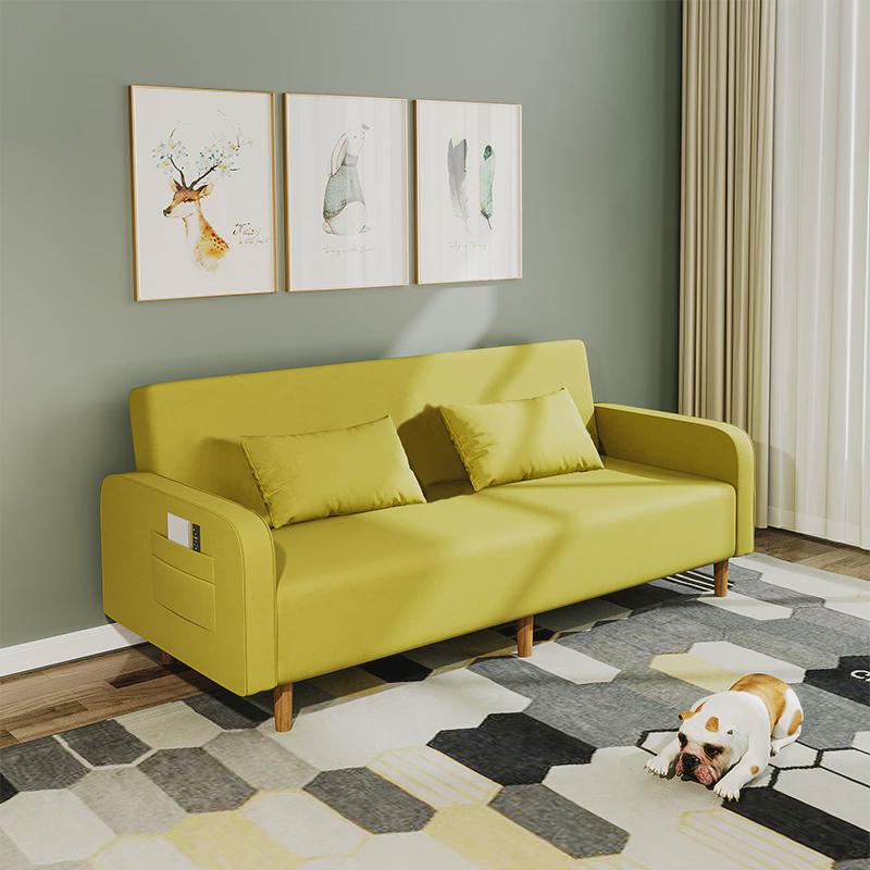 小户型折叠两用沙发床公寓出租房卧室客厅可拆洗经济型网红款沙发
