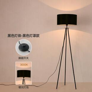 北欧客厅高级感美容灯落地灯客厅卧室床头落地台灯立式氛围灯