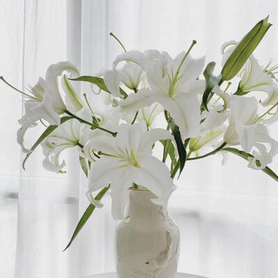 昆明时间香水百合鲜花云南直发花点基地鲜切花百合花水养插花新款