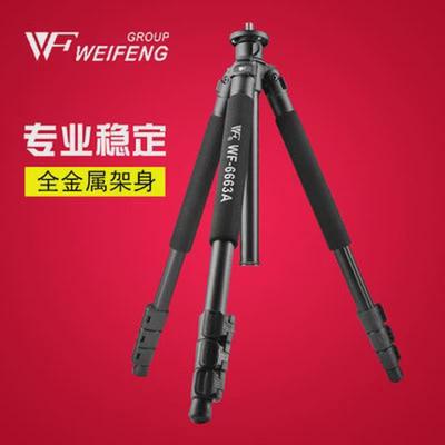 伟峰WF-6663A三脚架单反相机摄通用钓鱼灯打鸟6663A三角架包 配件
