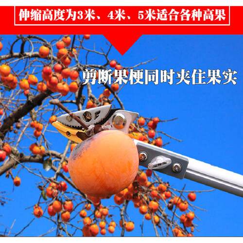 高枝剪修枝剪果树剪刀摘果剪摘果器高枝锯枇杷剪伸缩香椿摘果神器