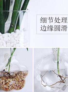 墙壁壁挂墙花瓶玻璃挂件创意墙上挂墙面绿萝装饰花盆悬挂式水培